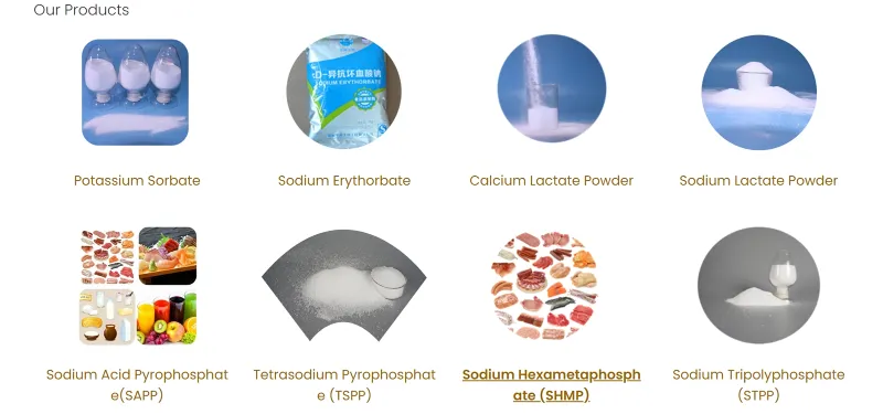 20240424111936 20240424111936